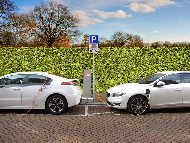 Wypożyczalnia Samochodów Lubin Vivacar, tekst o zwiększającej się liczbie aut elektrycznych na świecie 